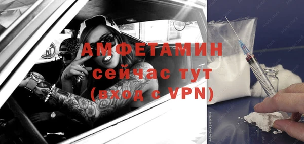 гашик Аркадак