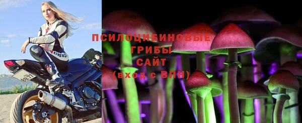 Альфа ПВП Армянск