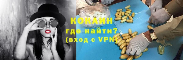 гашик Аркадак