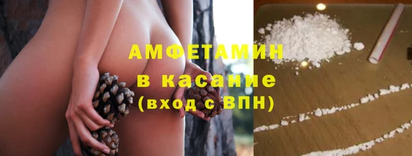 гашик Аркадак