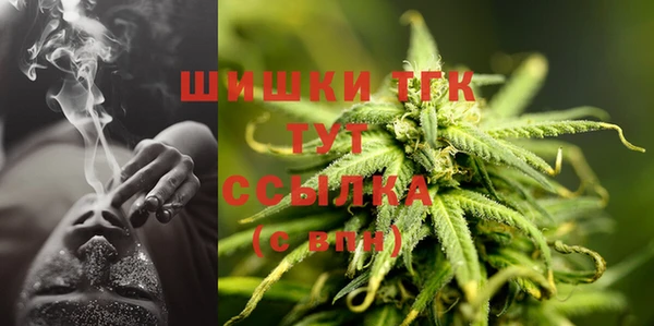 эйфоретик Арсеньев