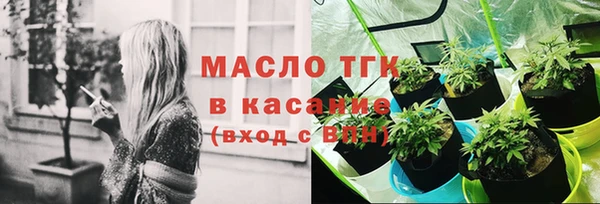 гашик Аркадак