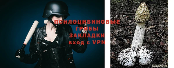 эйфоретик Арсеньев