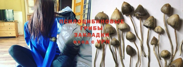 Альфа ПВП Армянск